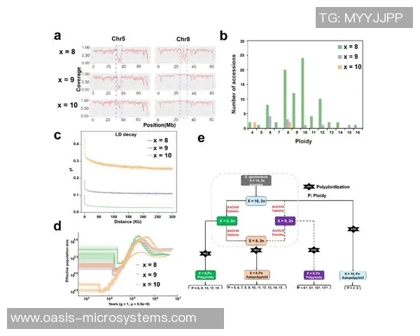 武汉乒乓球队在大满贯赛事中的团队协作表现分析与点评